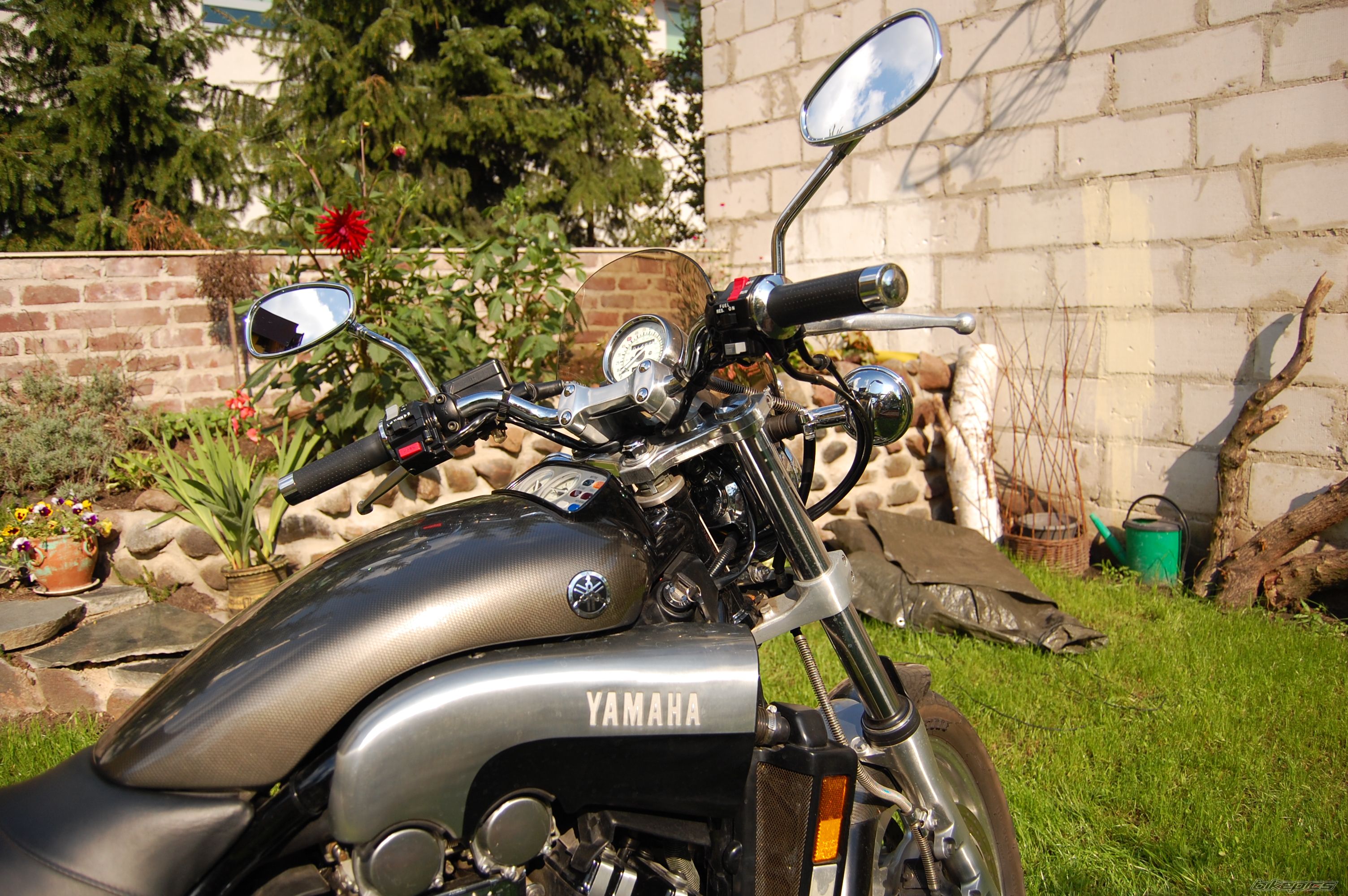 Photo 1003613
