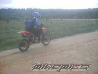 Photo 100362