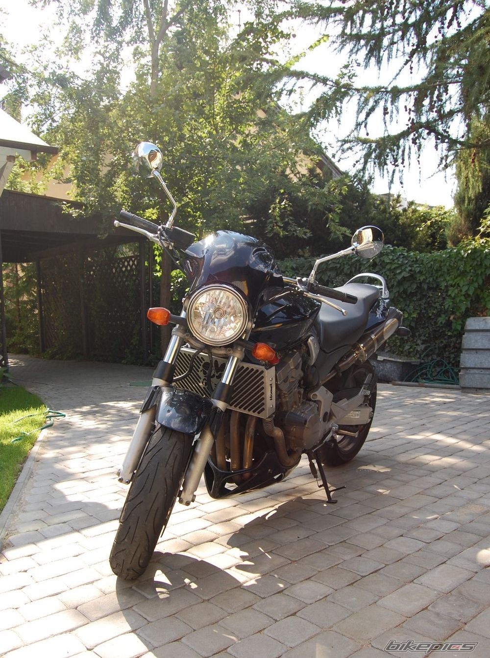 Photo 1003648