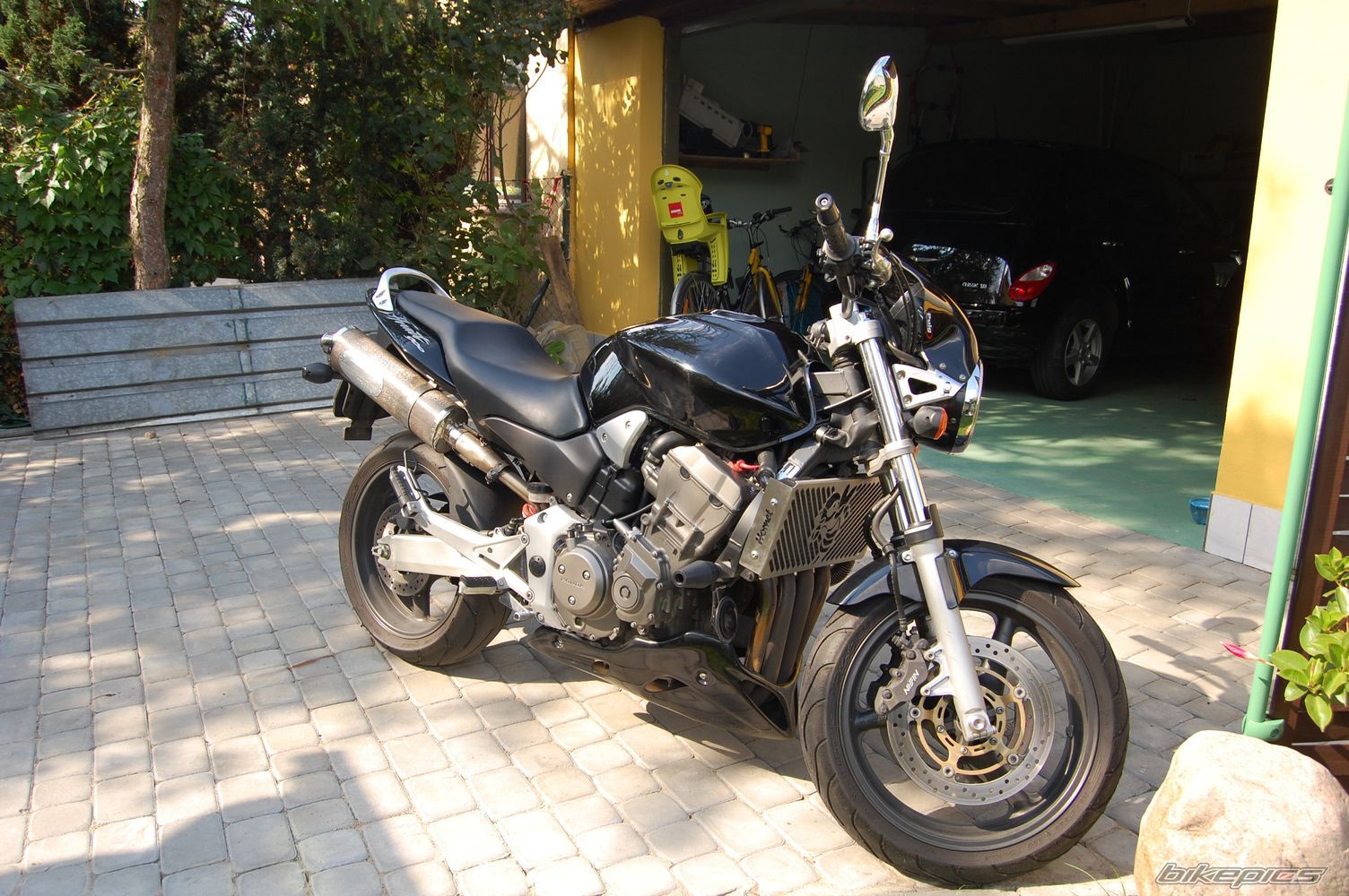 Photo 1003649