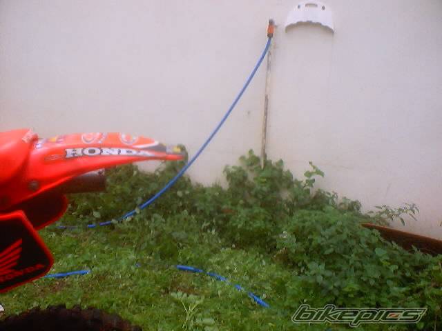 Photo 100365