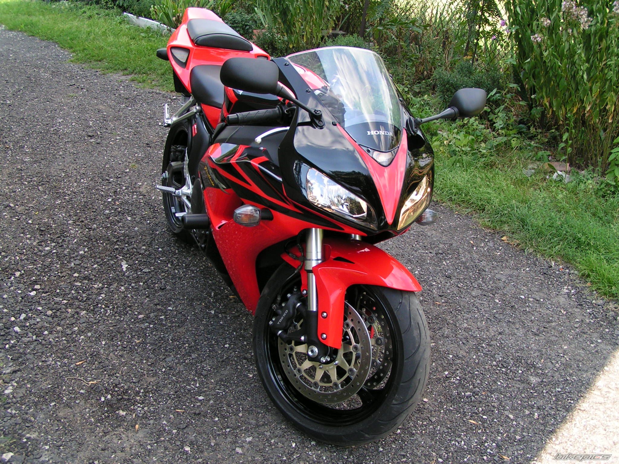 Photo 1003657