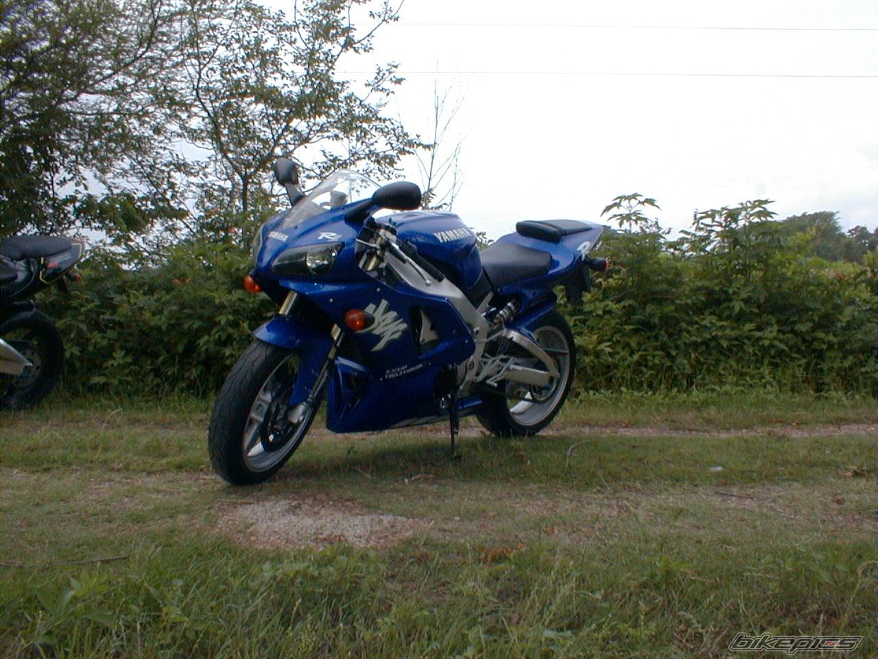 Photo 100366