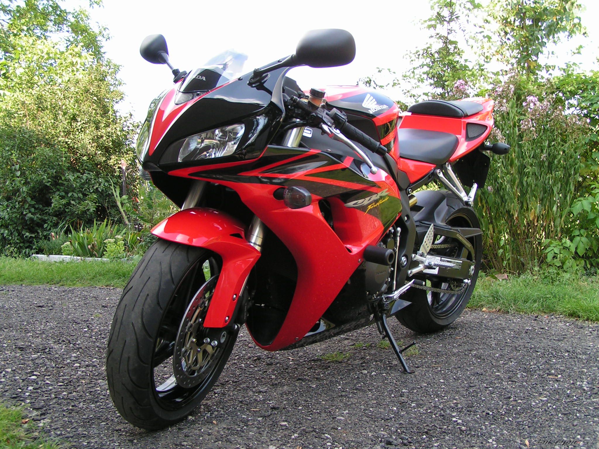 Photo 1003667