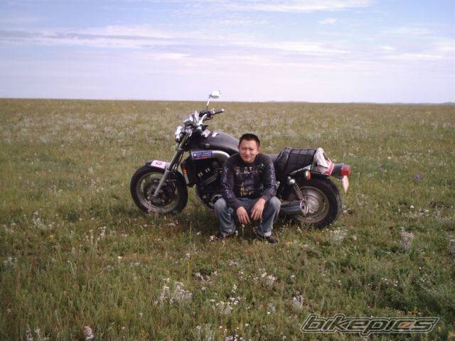 Photo 100367