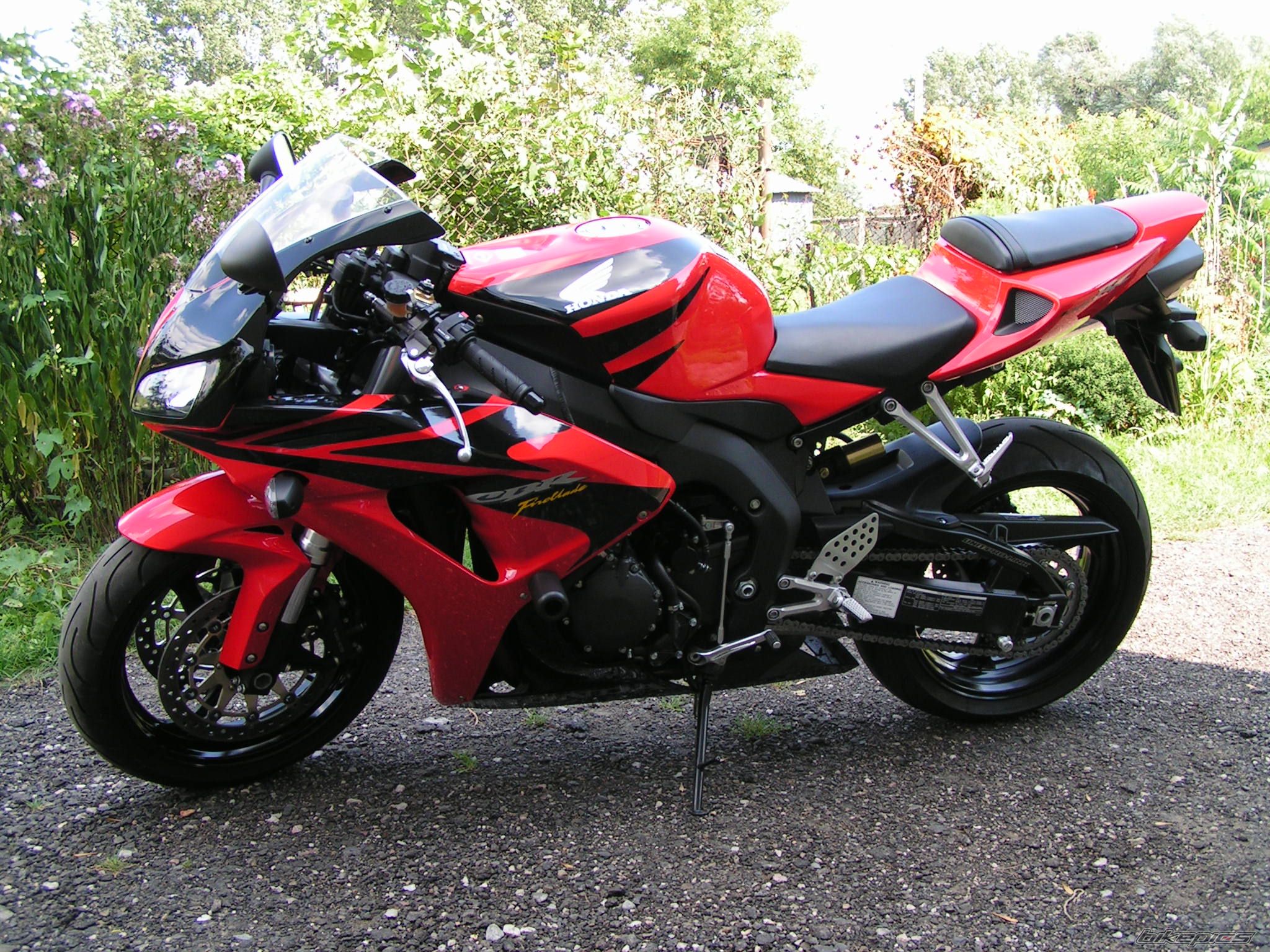 Photo 1003670