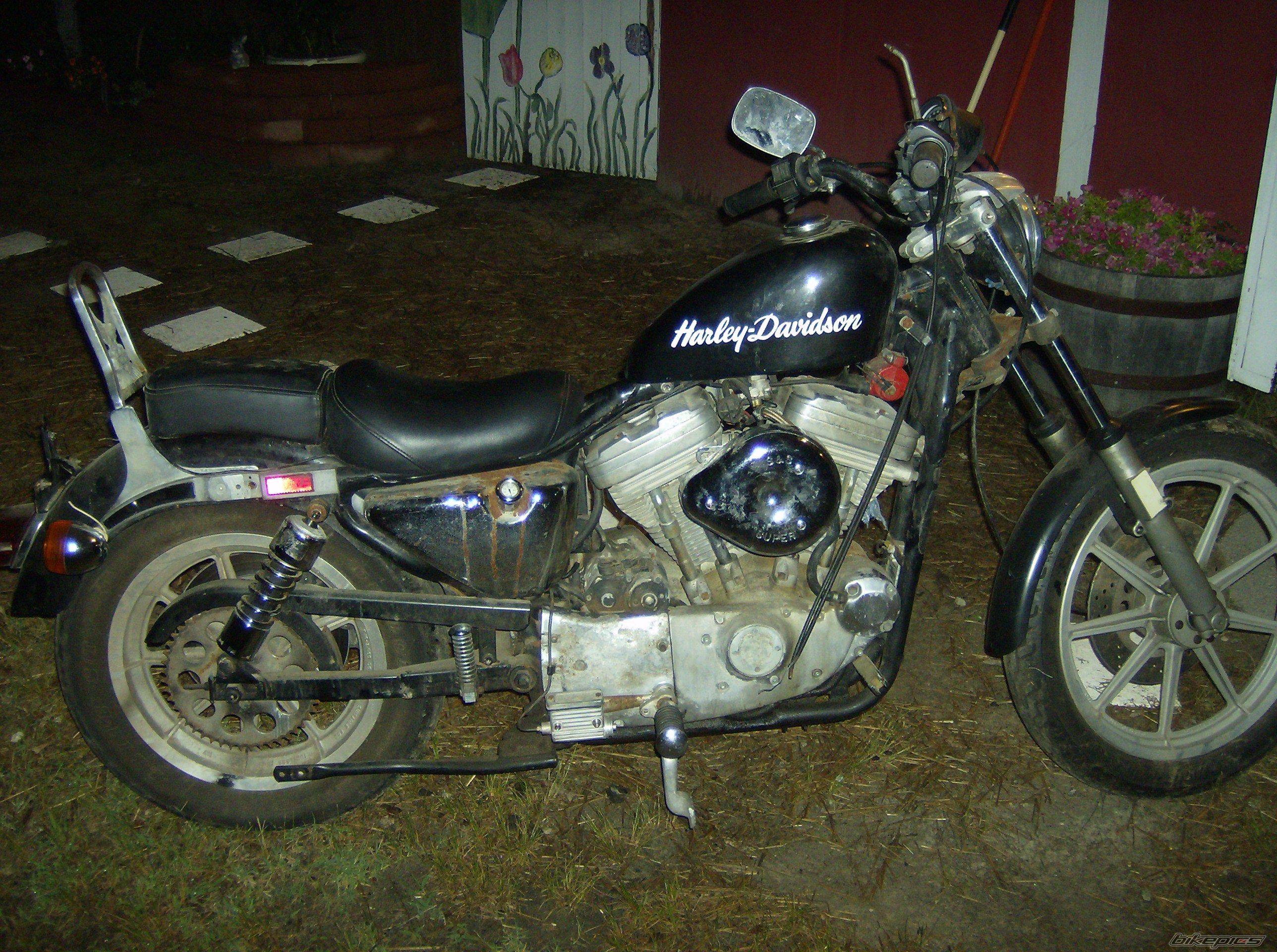Photo 1003673