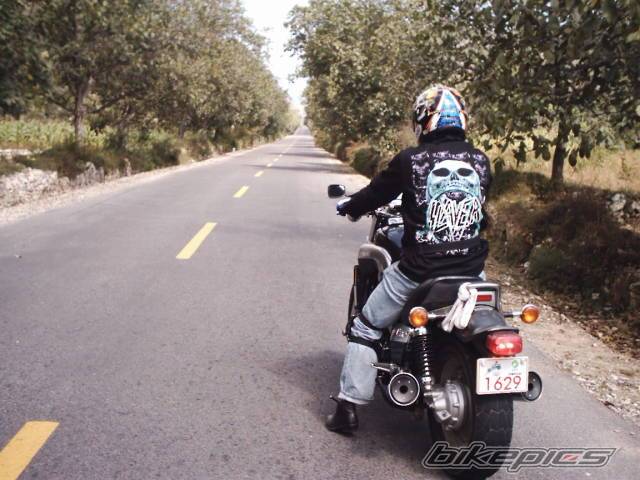Photo 100368