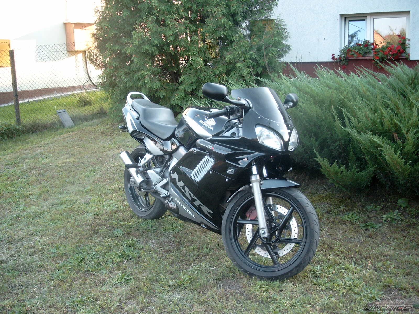 Photo 1003713