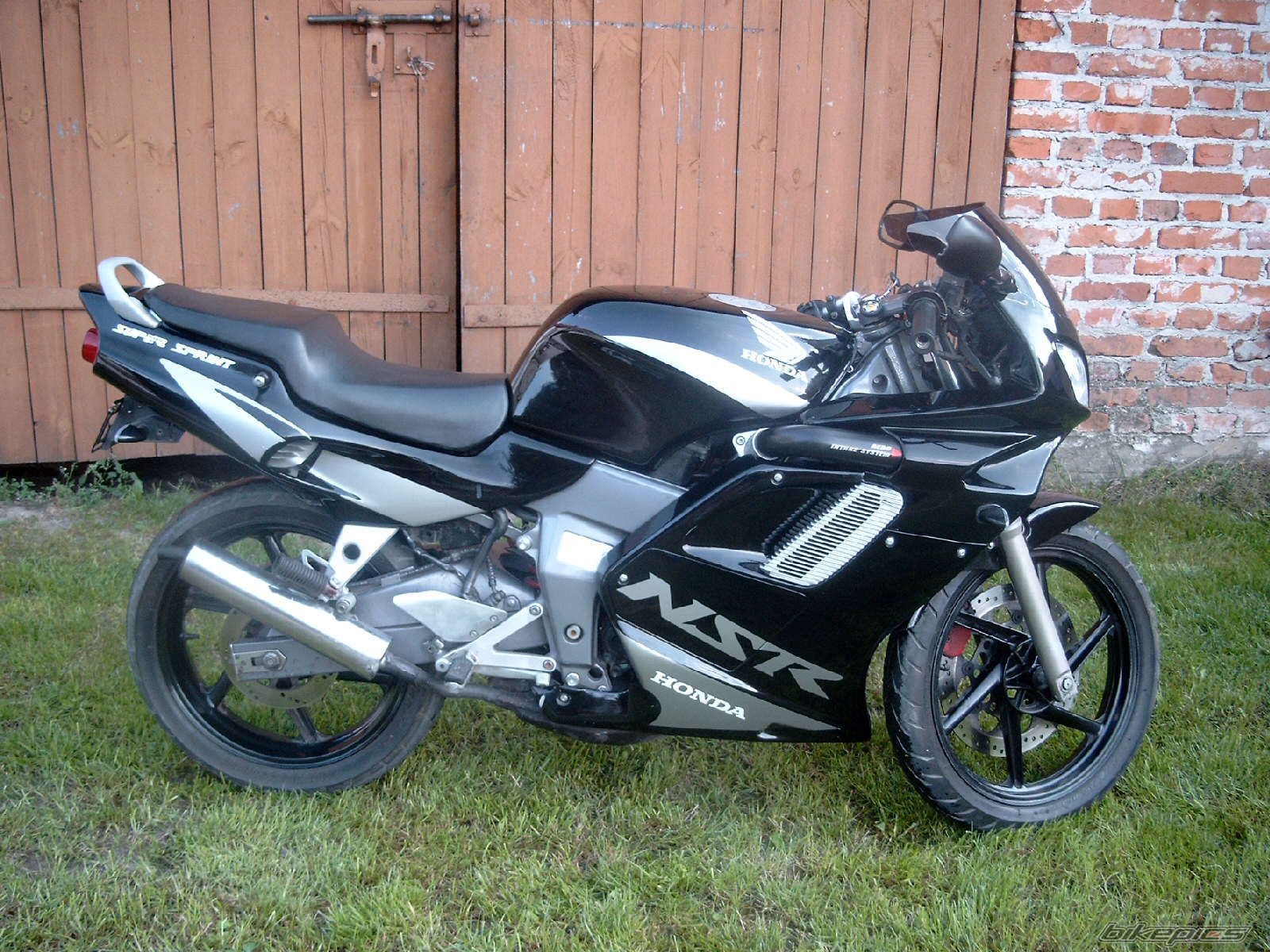 Photo 1003716
