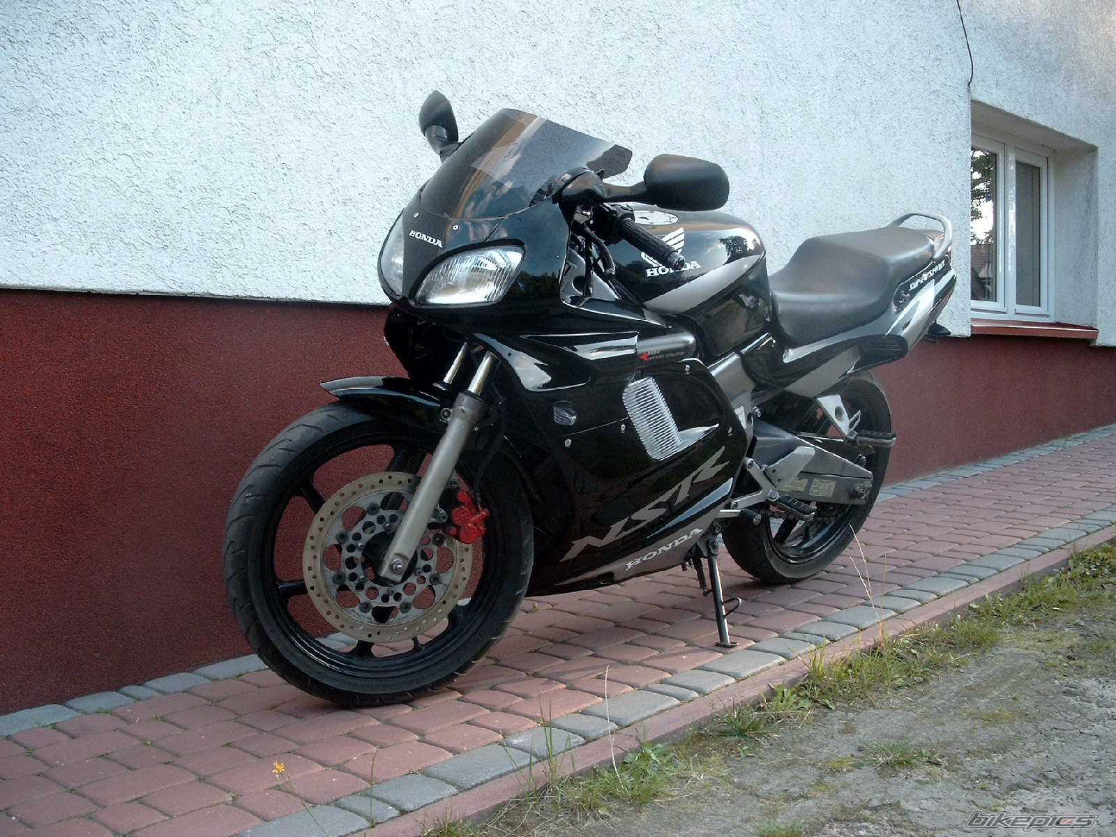 Photo 1003717