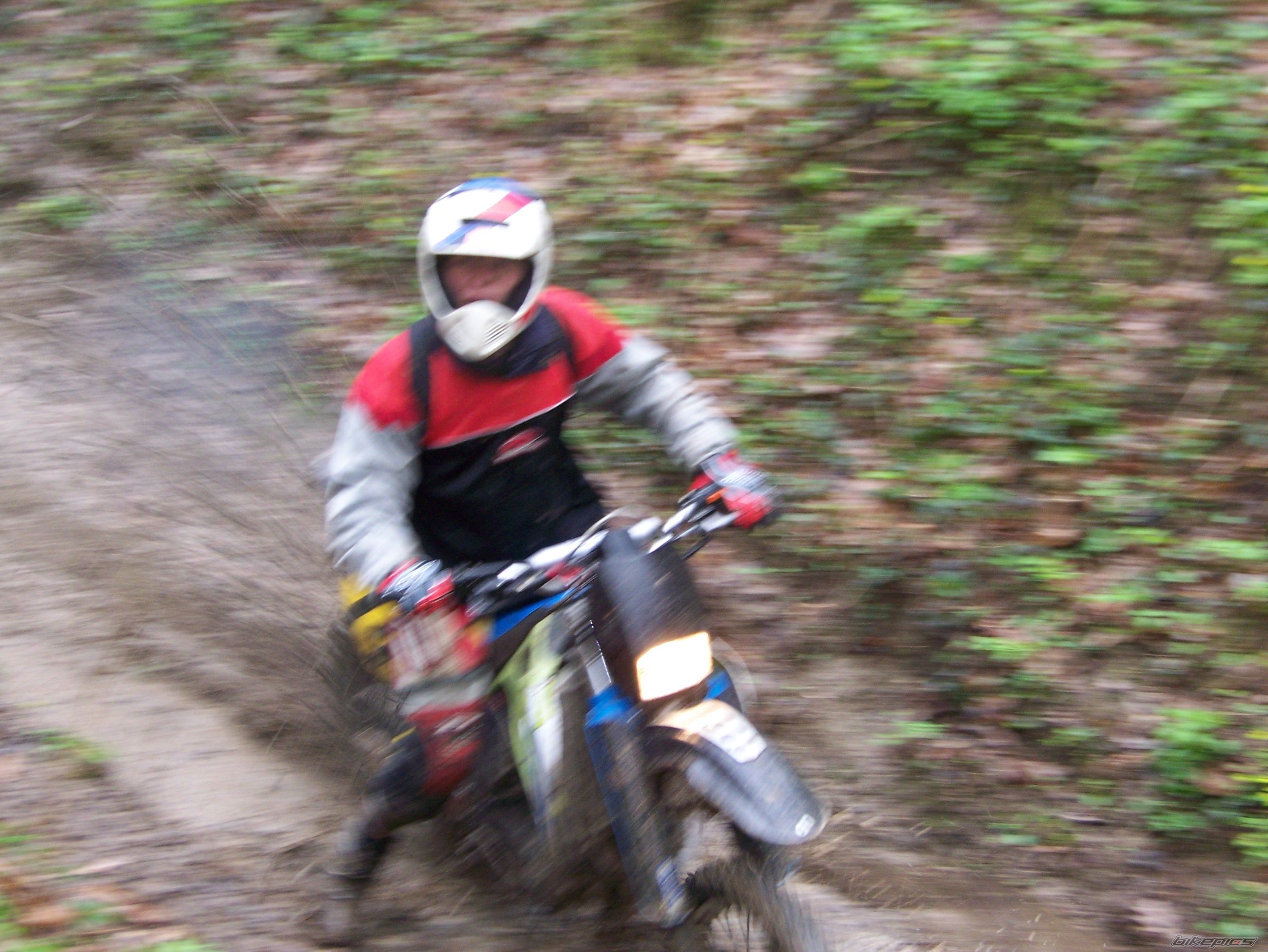 Photo 1003731