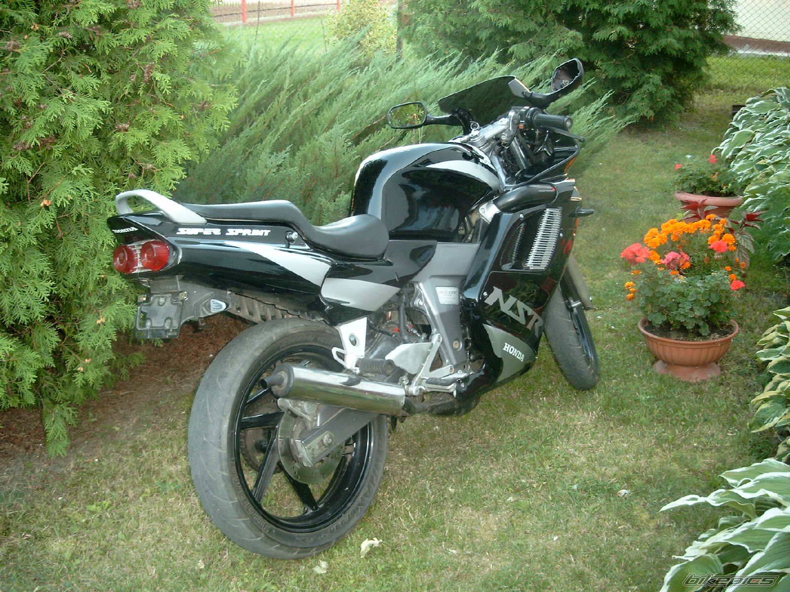 Photo 1003733