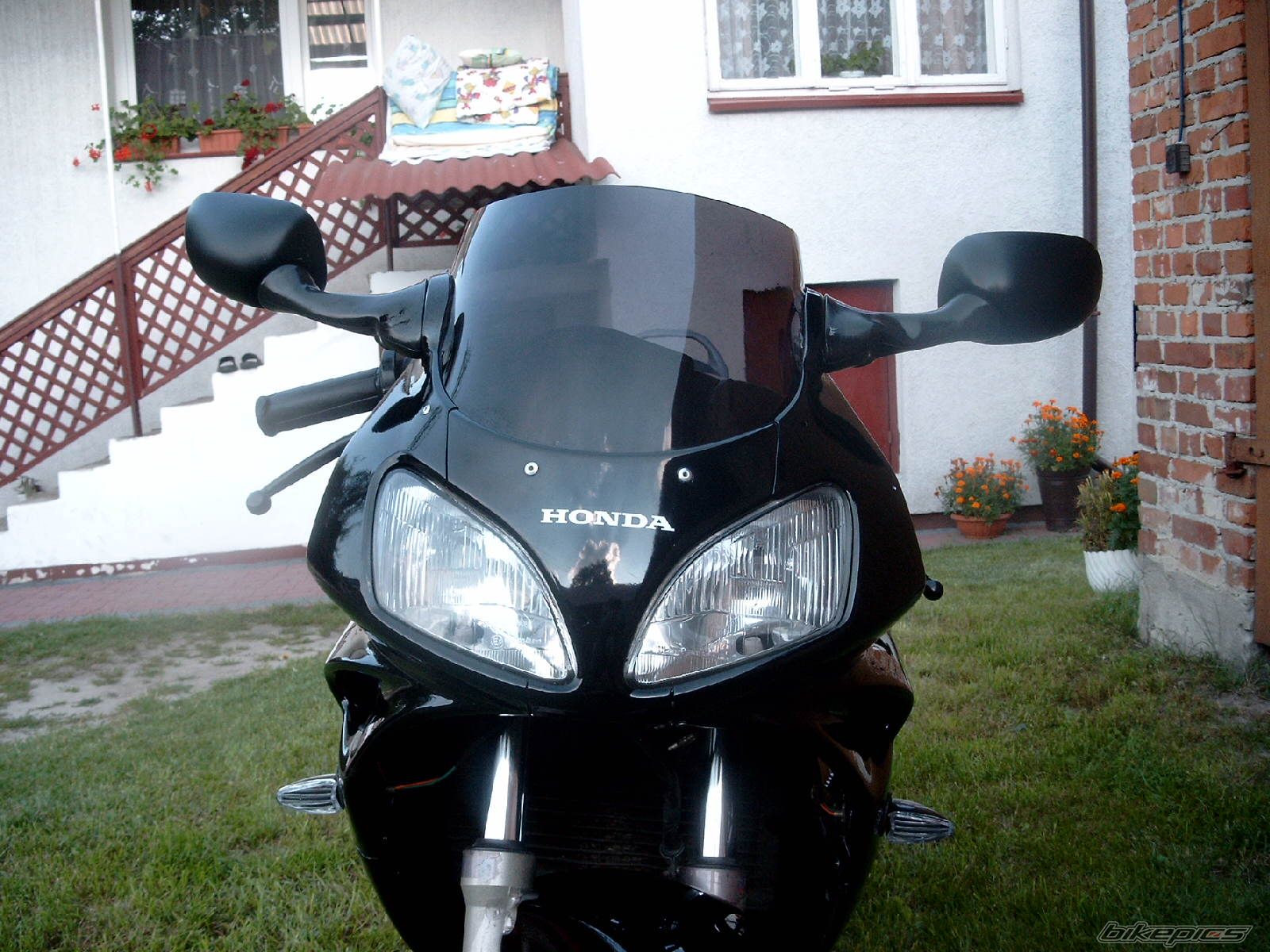 Photo 1003734