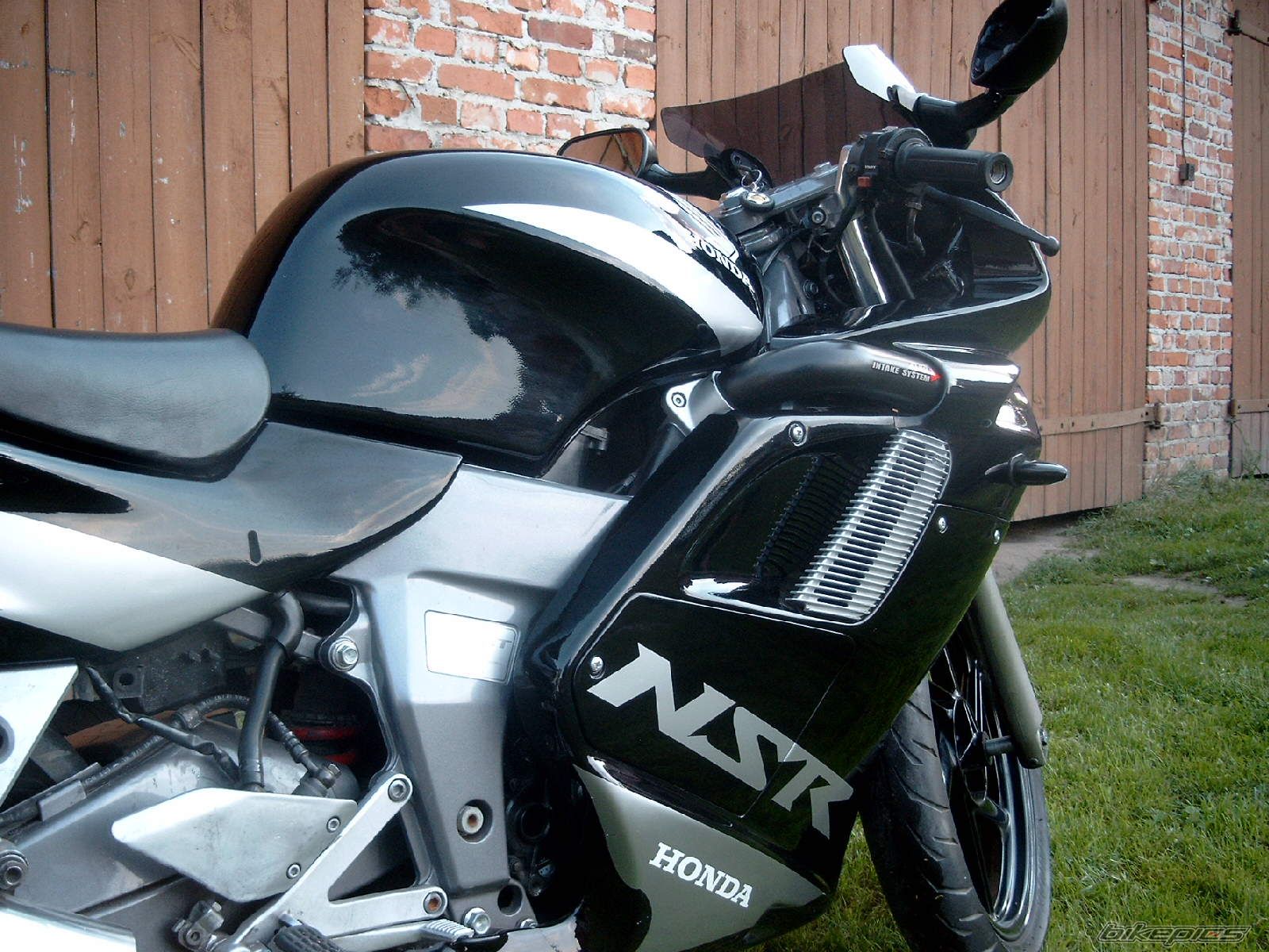 Photo 1003740