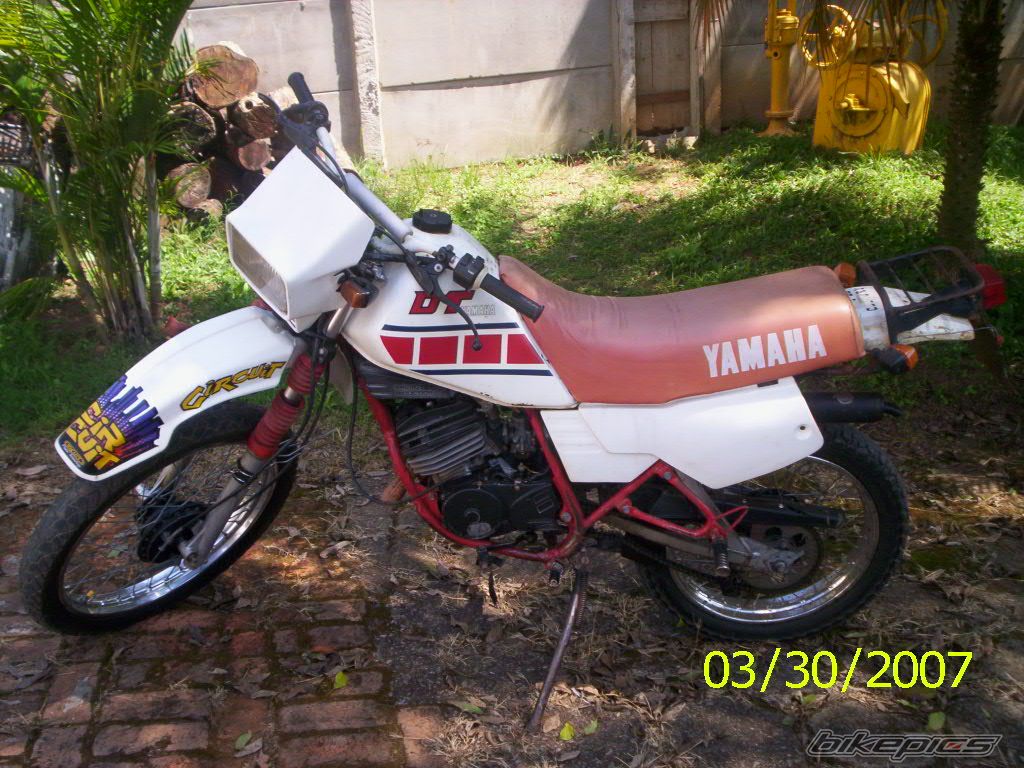 Photo 1003755