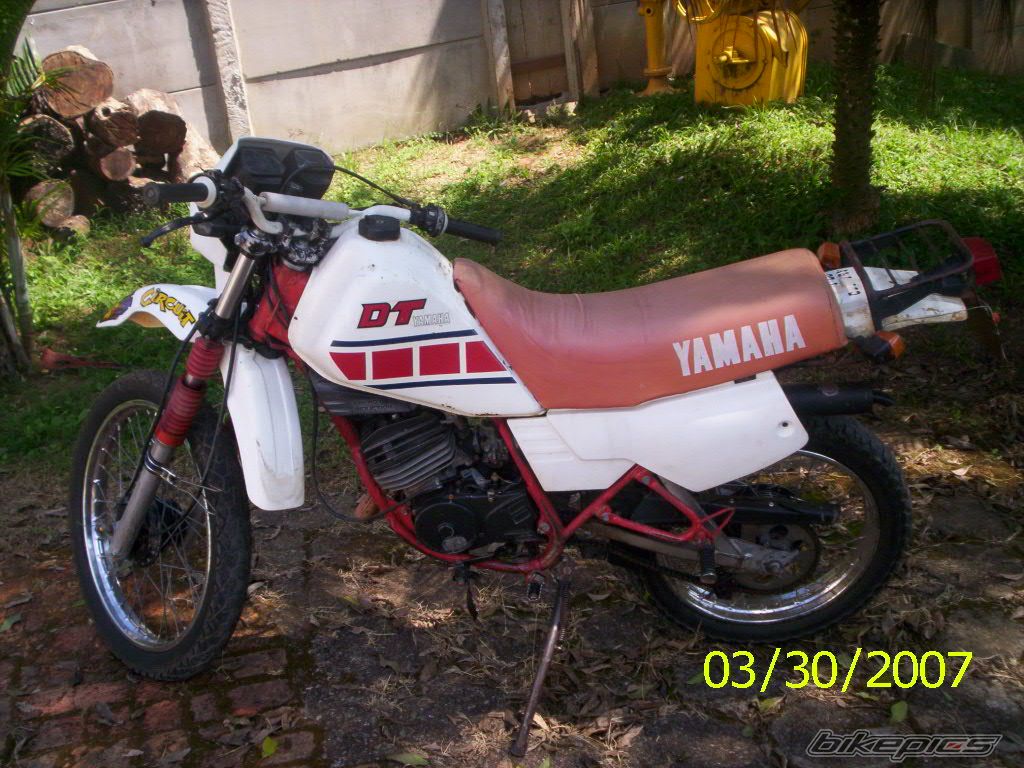 Photo 1003756