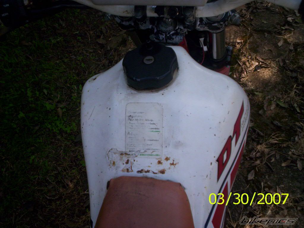 Photo 1003763