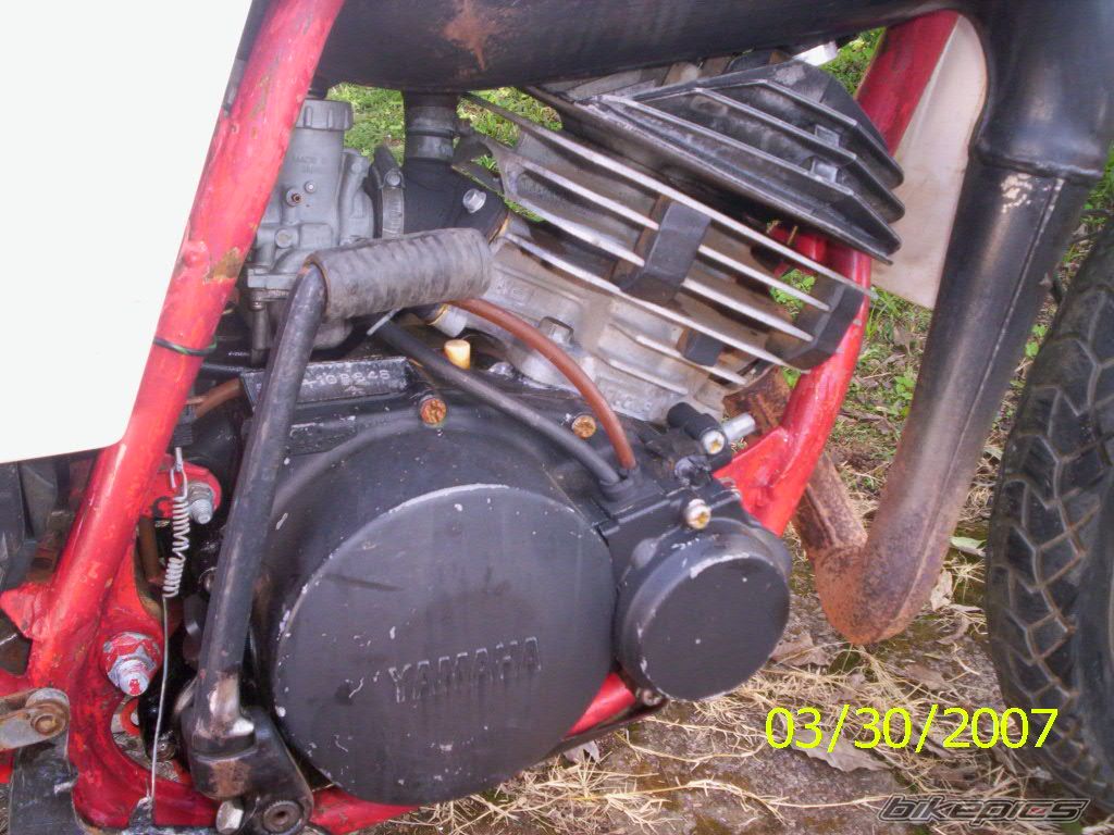 Photo 1003765
