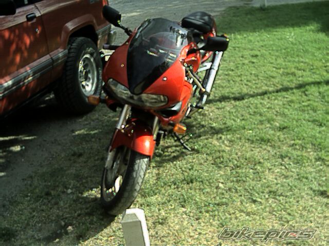 Photo 1003835