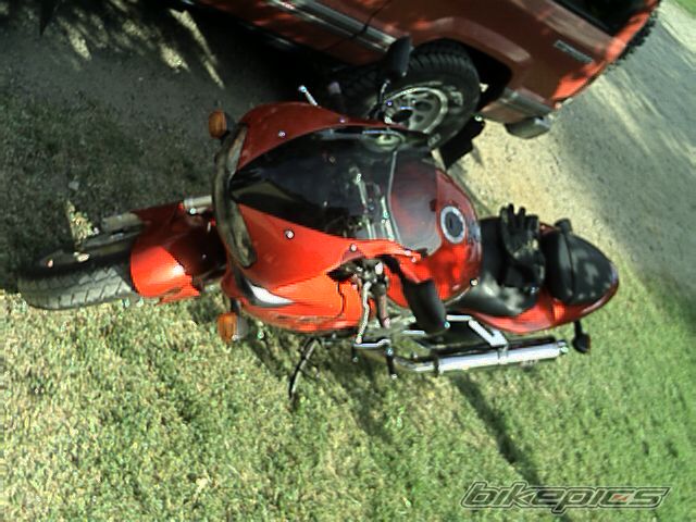 Photo 1003836