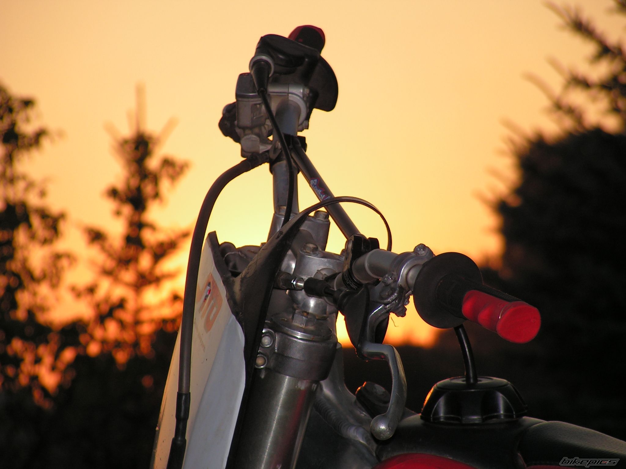 Photo 1003867