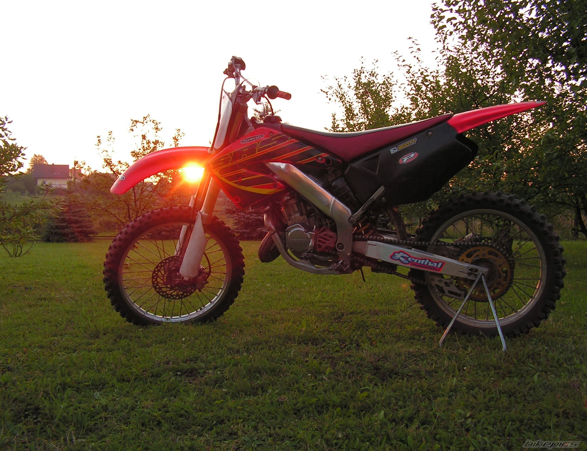 Photo 1003869