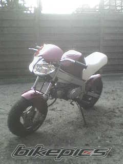 Photo 1003874