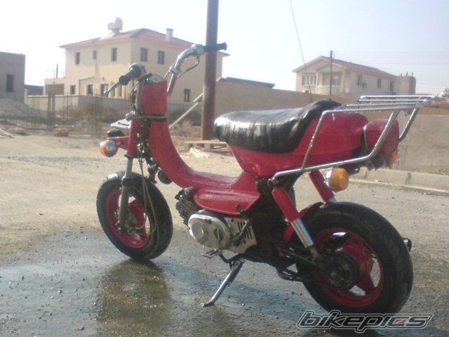 Photo 1003876