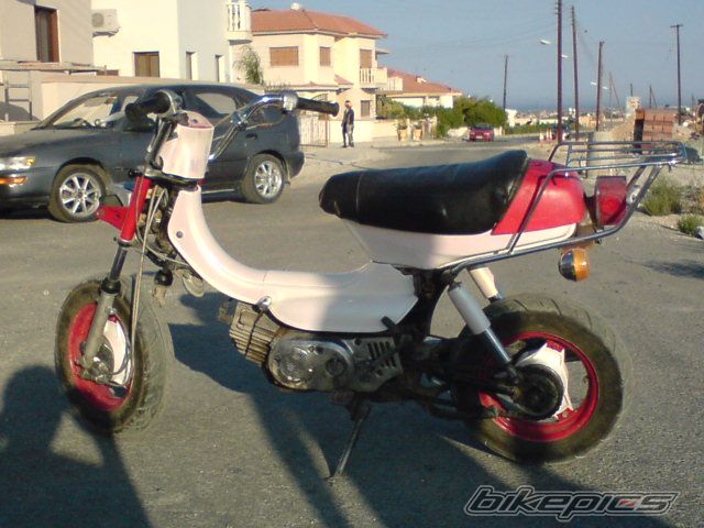 Photo 1003877