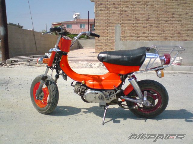 Photo 1003878