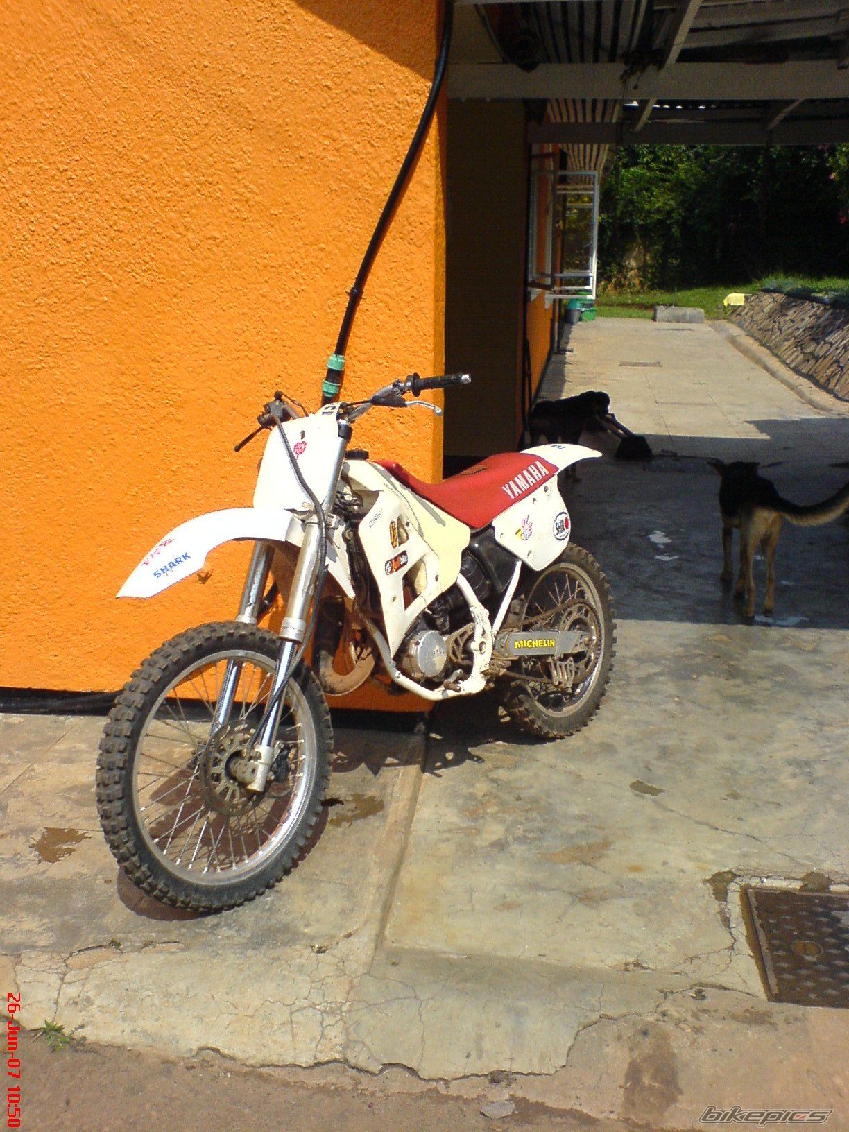 Photo 1003880