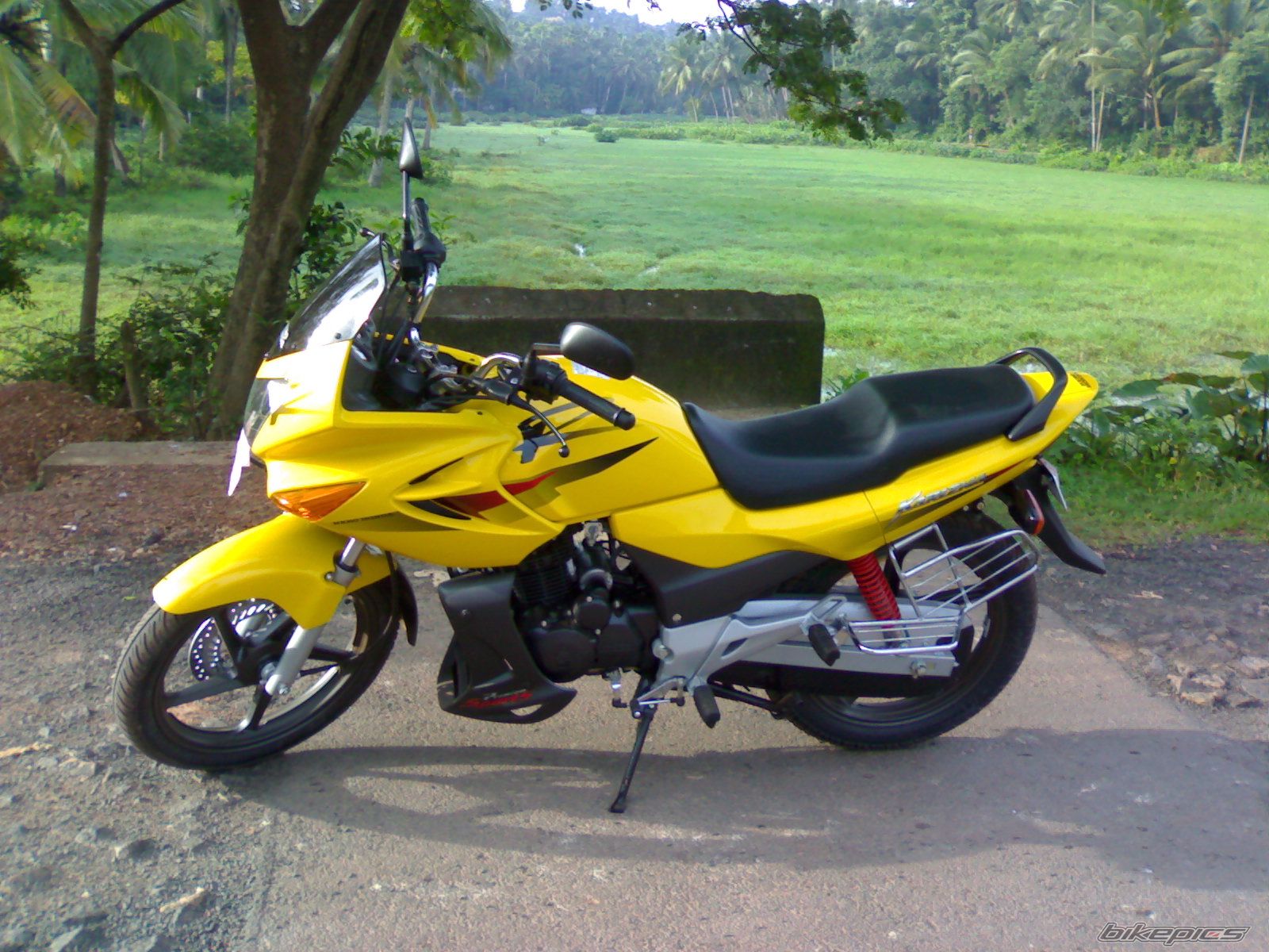 Photo 1003910