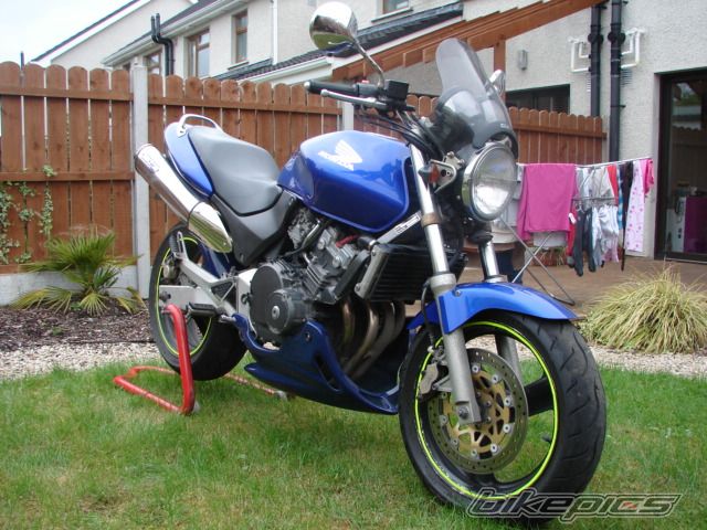 Photo 1003937