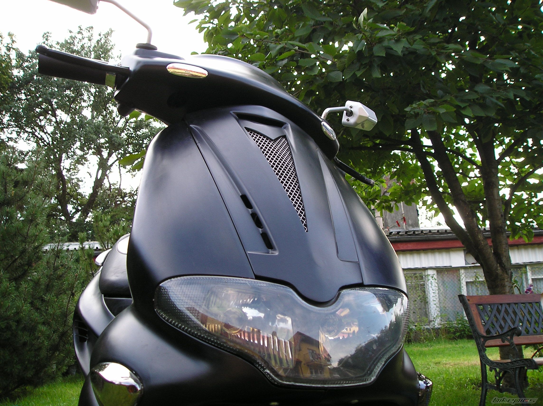 Photo 1003955
