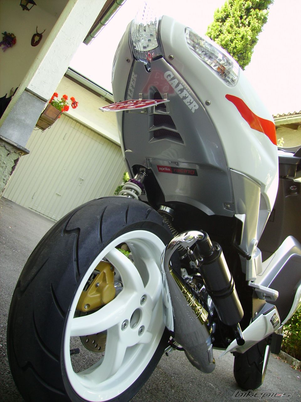 Photo 1003965