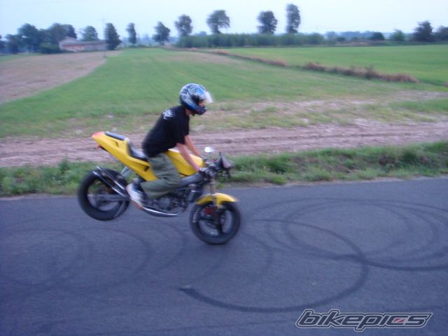 Photo 1003977