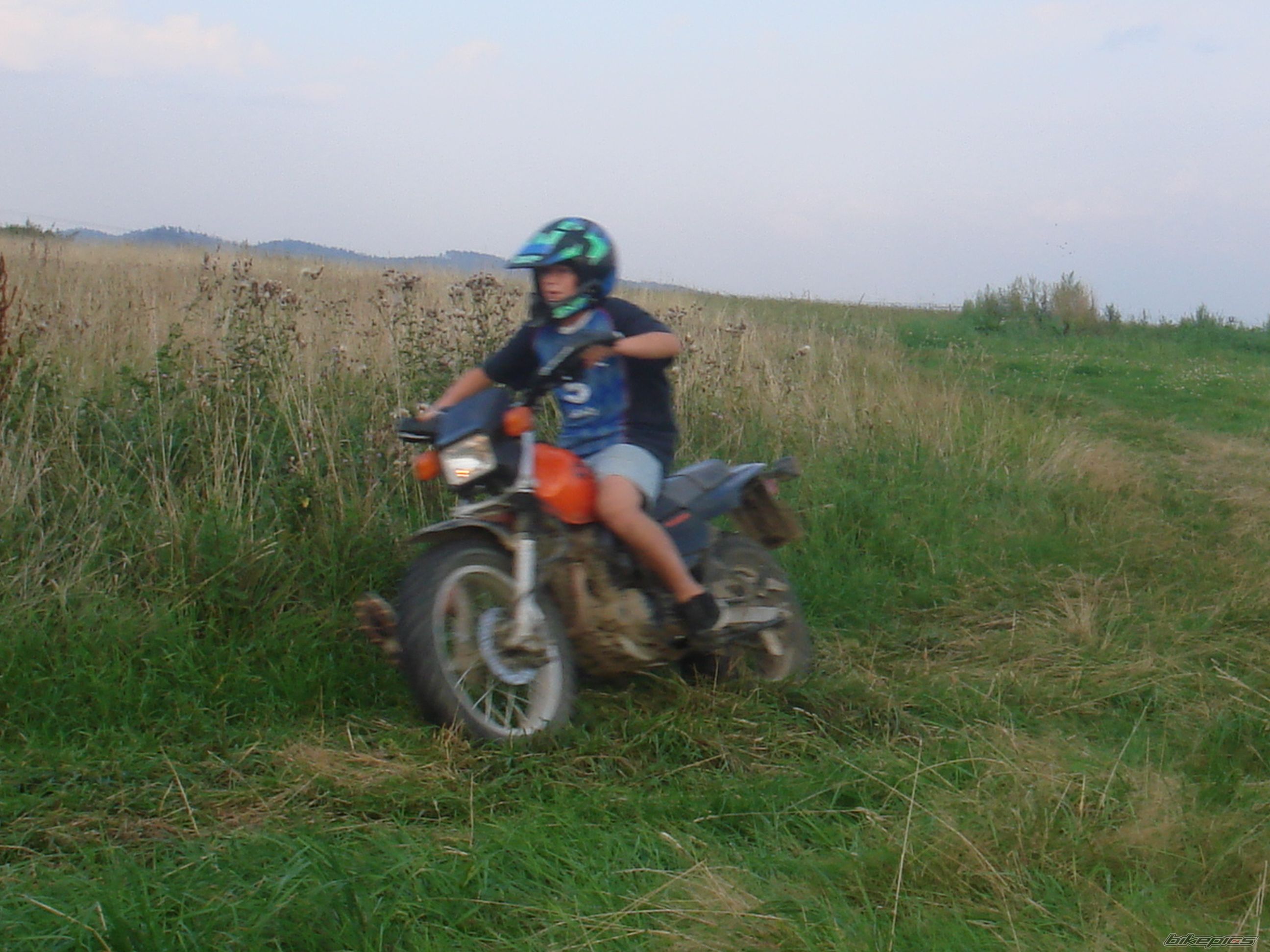 Photo 1003979