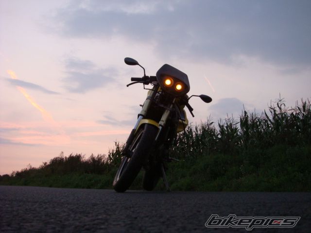 Photo 1004008