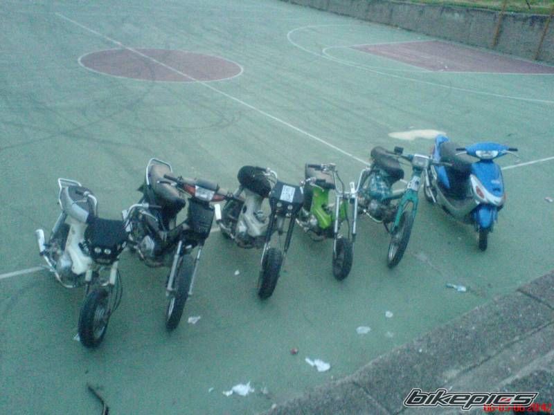 Photo 1004021
