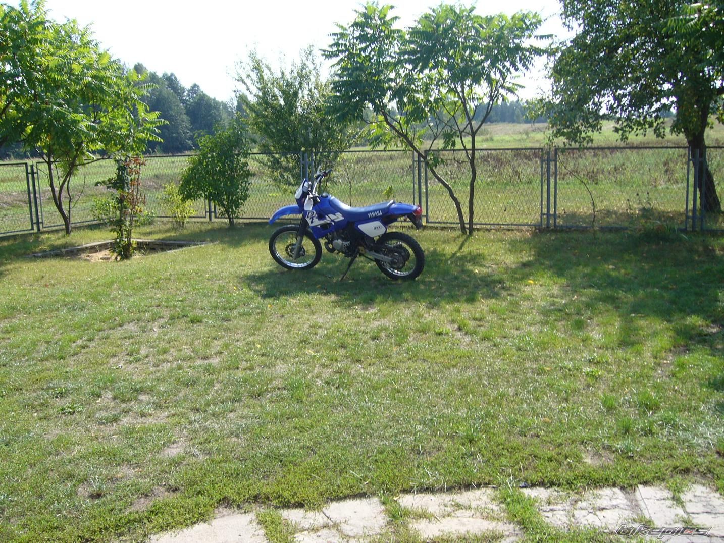 Photo 1004042