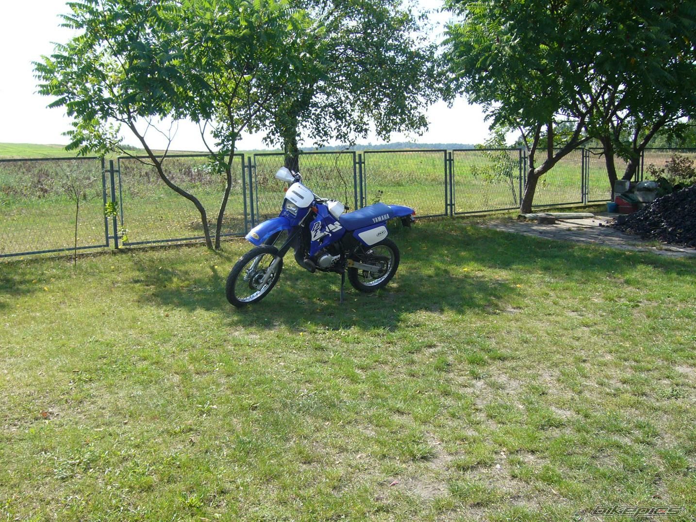 Photo 1004044
