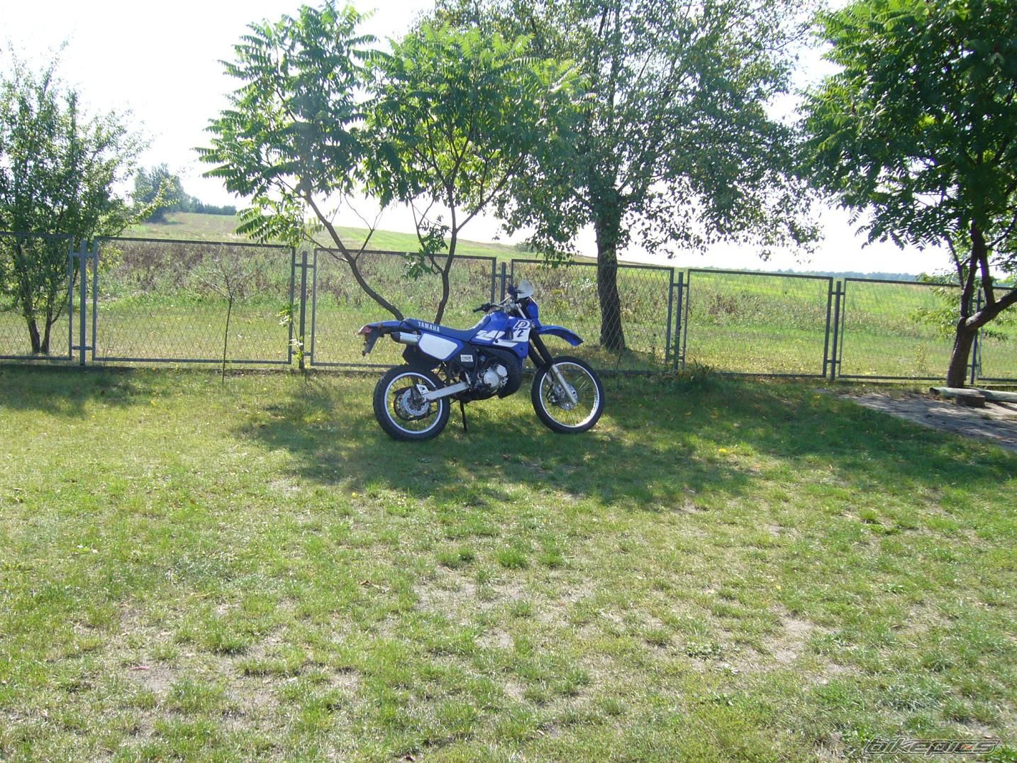 Photo 1004045