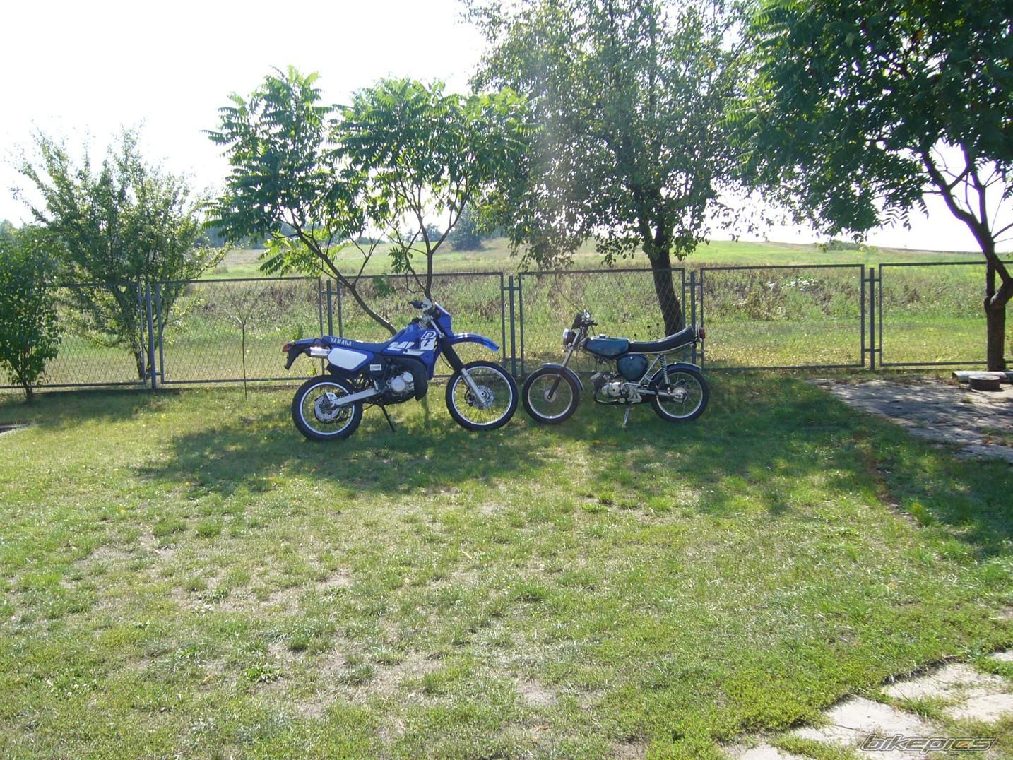 Photo 1004061
