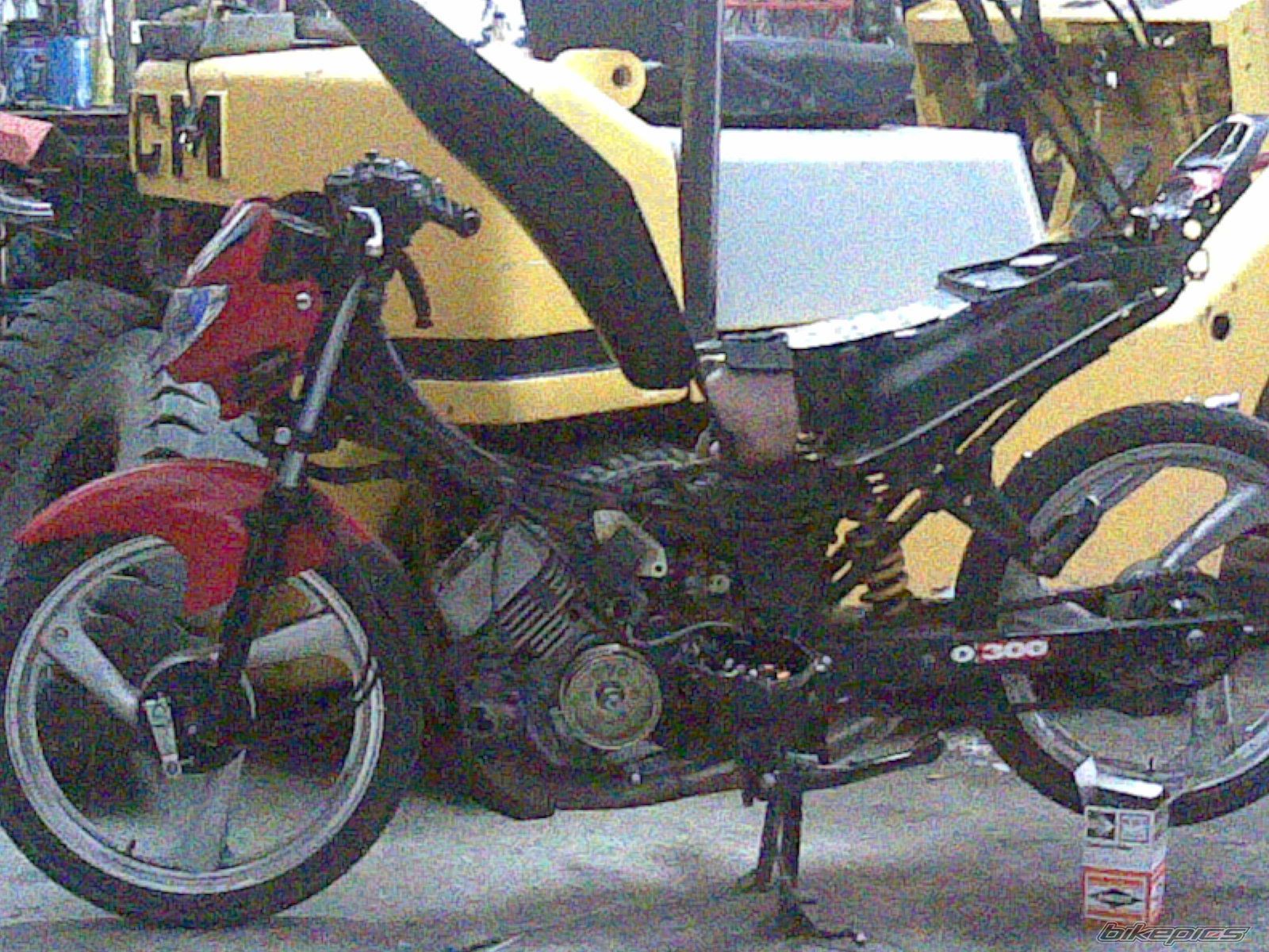 Photo 1004084