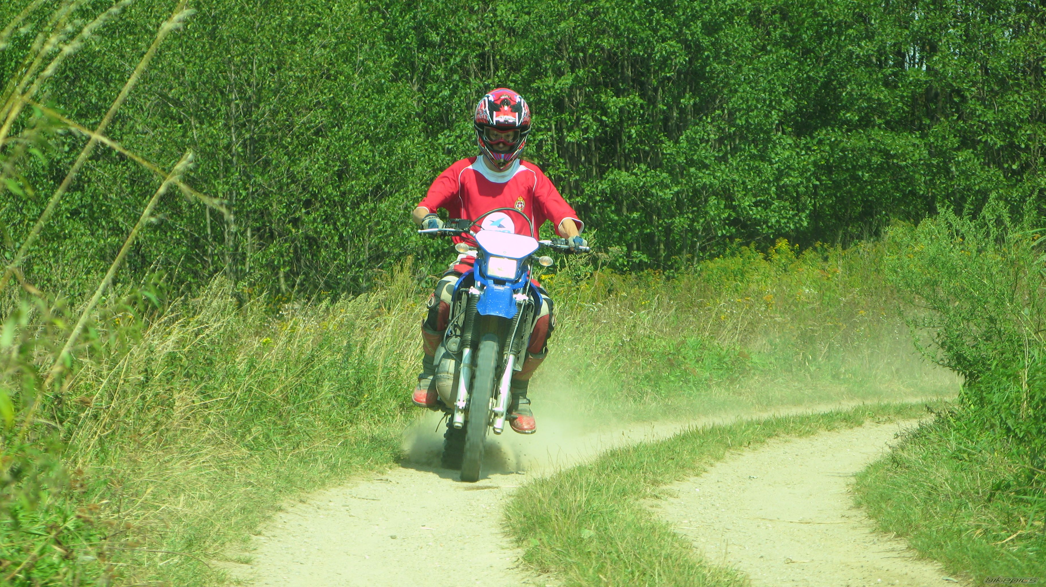 Photo 1004105