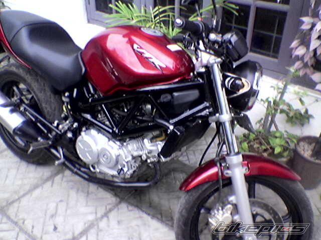 Photo 1004125
