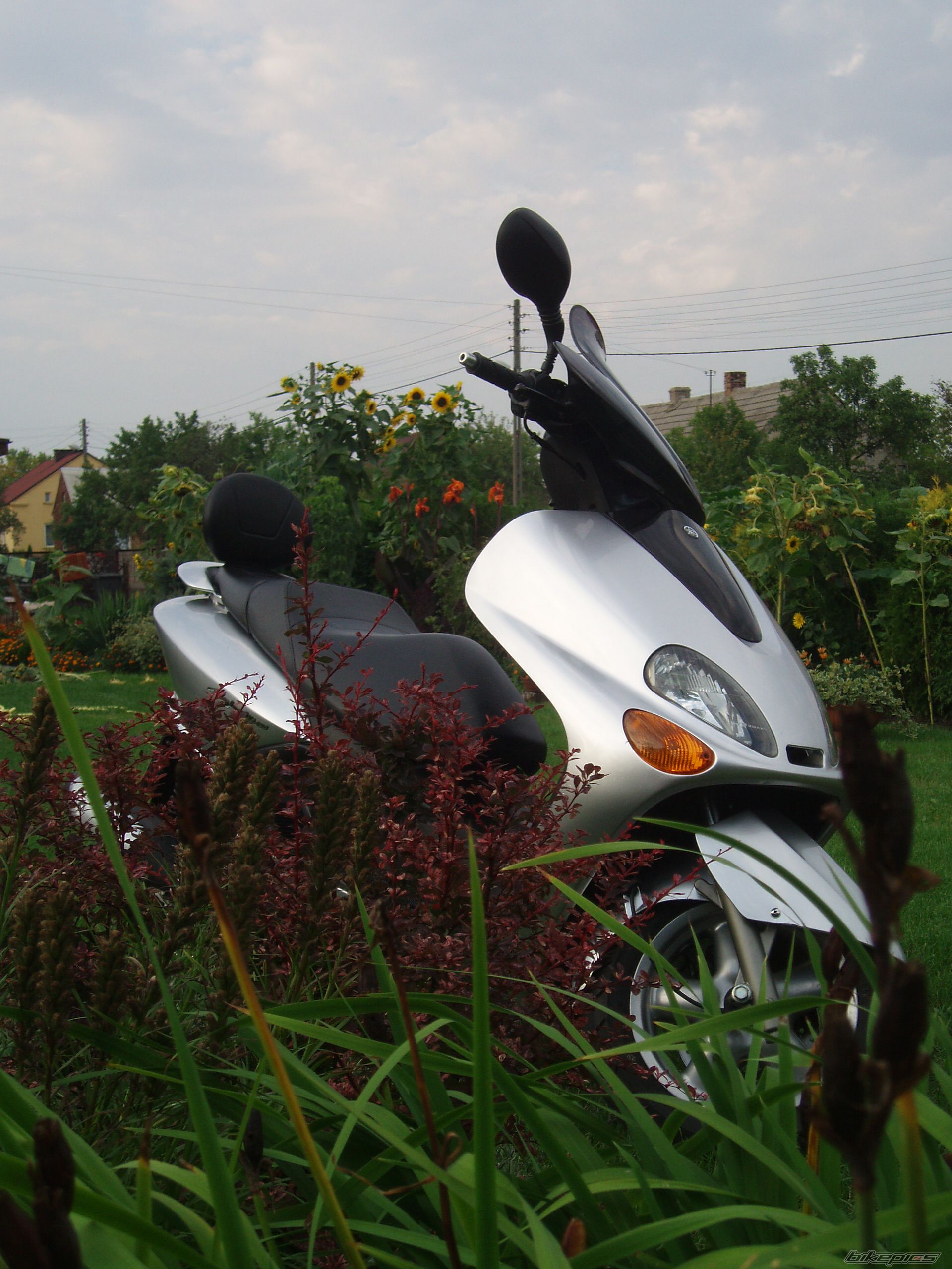 Bike Photo 1004149