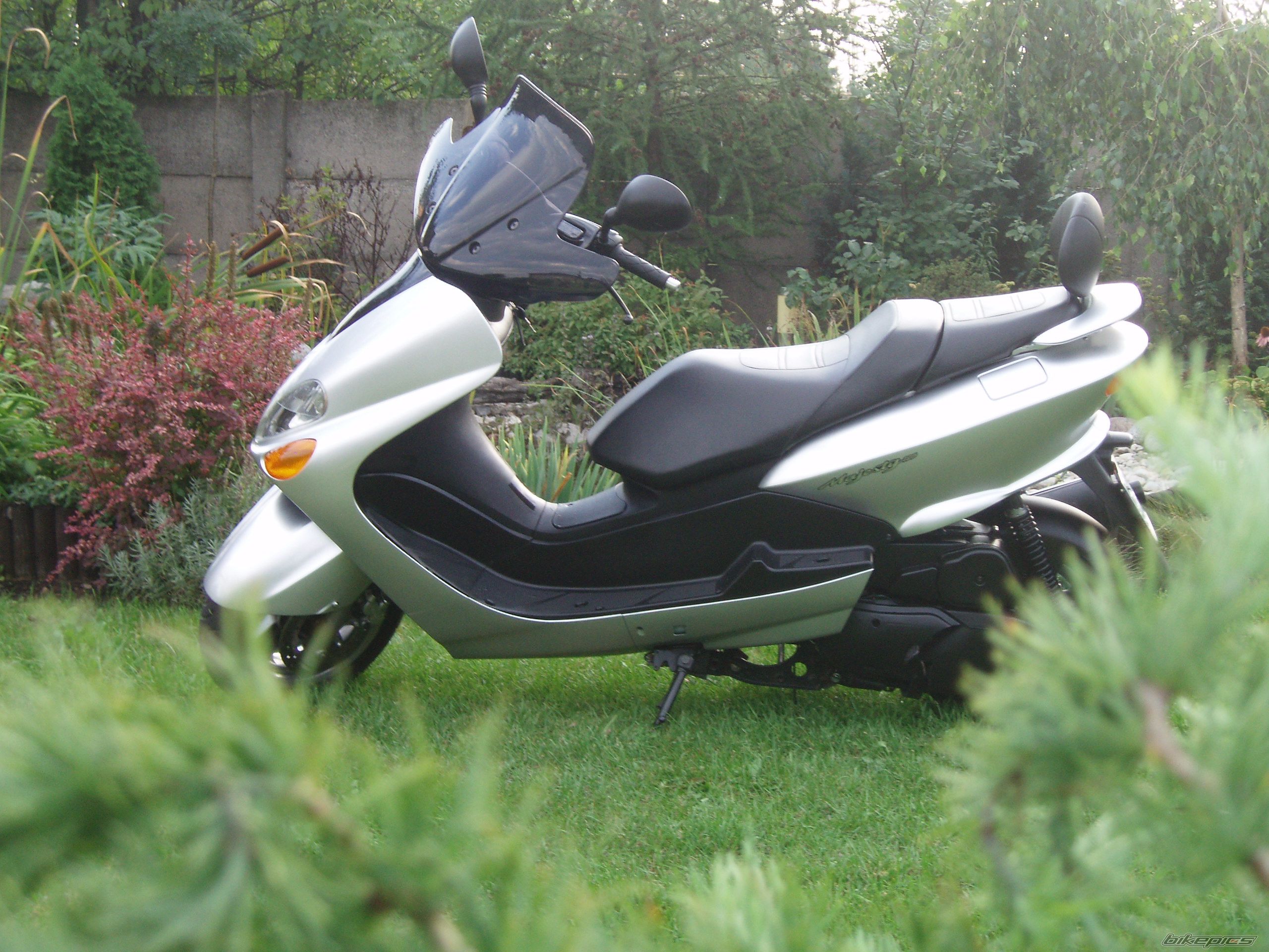 Photo 1004157
