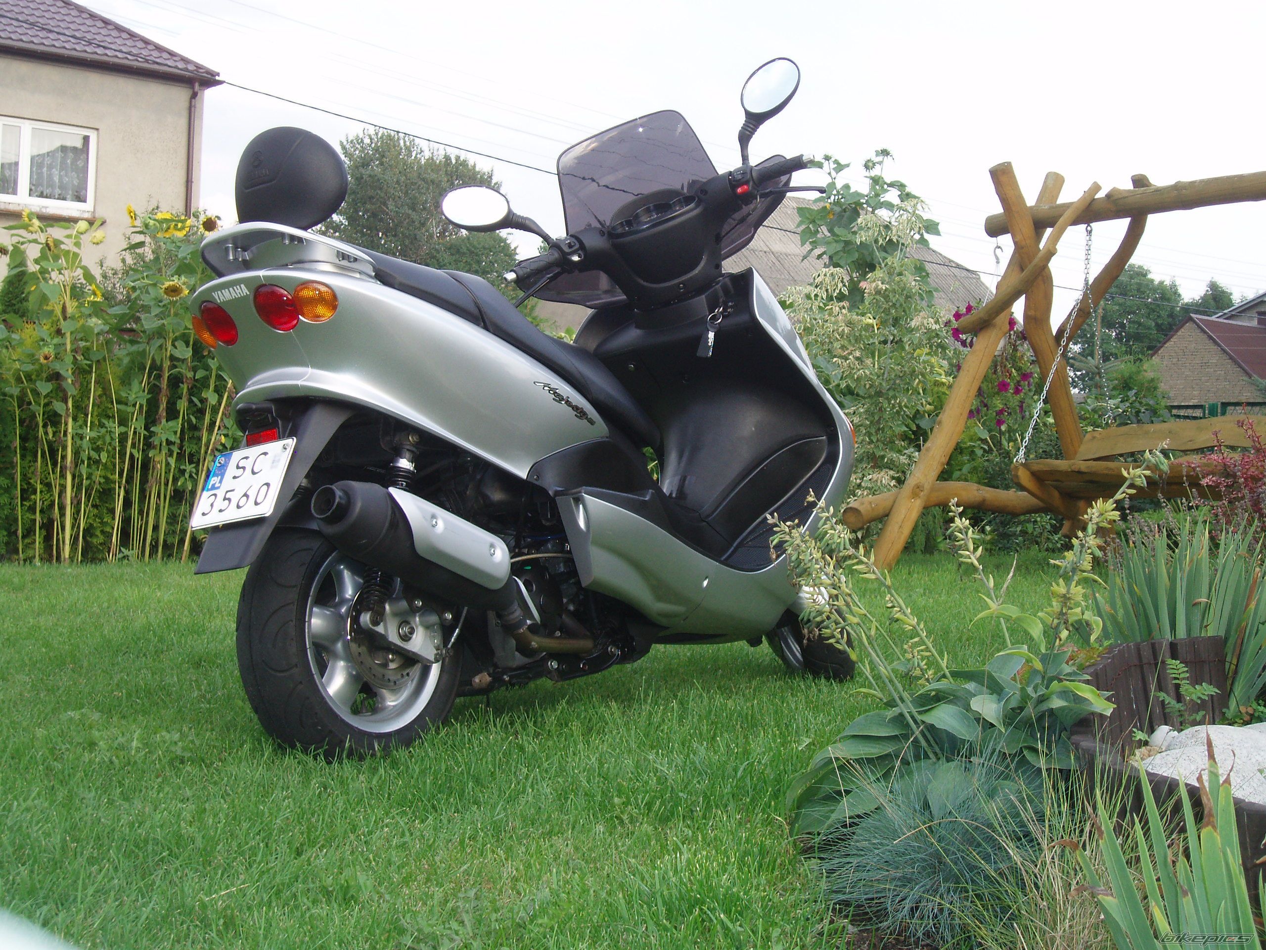 Photo 1004161